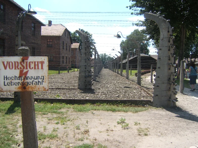 Seeing the Remnants of Auschwitz First-Hand - Grace Fox