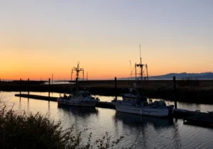 Steveston fishing boats and sunset - Grace Fox